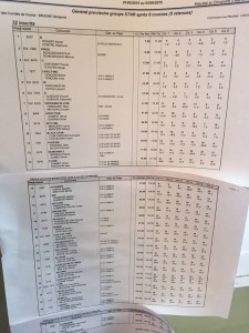 résultats Annecy 2015